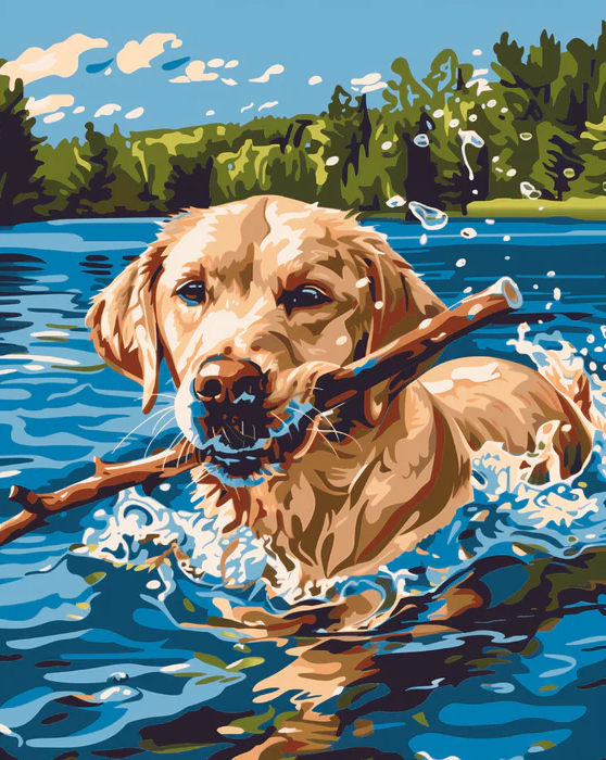Splash Fetcher - Paint By Numbers