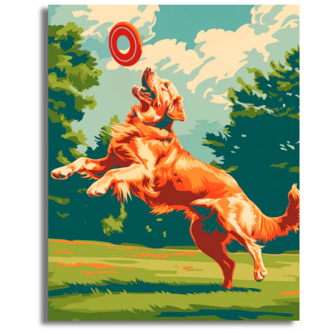 Frisbee Flyer - Paint By Numbers