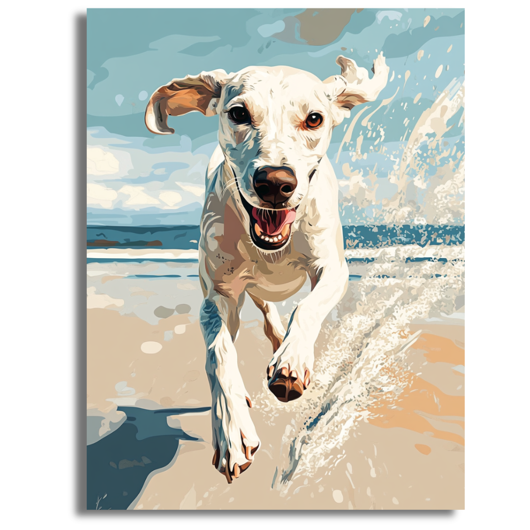 Splashy Joy- Paint By Numbers