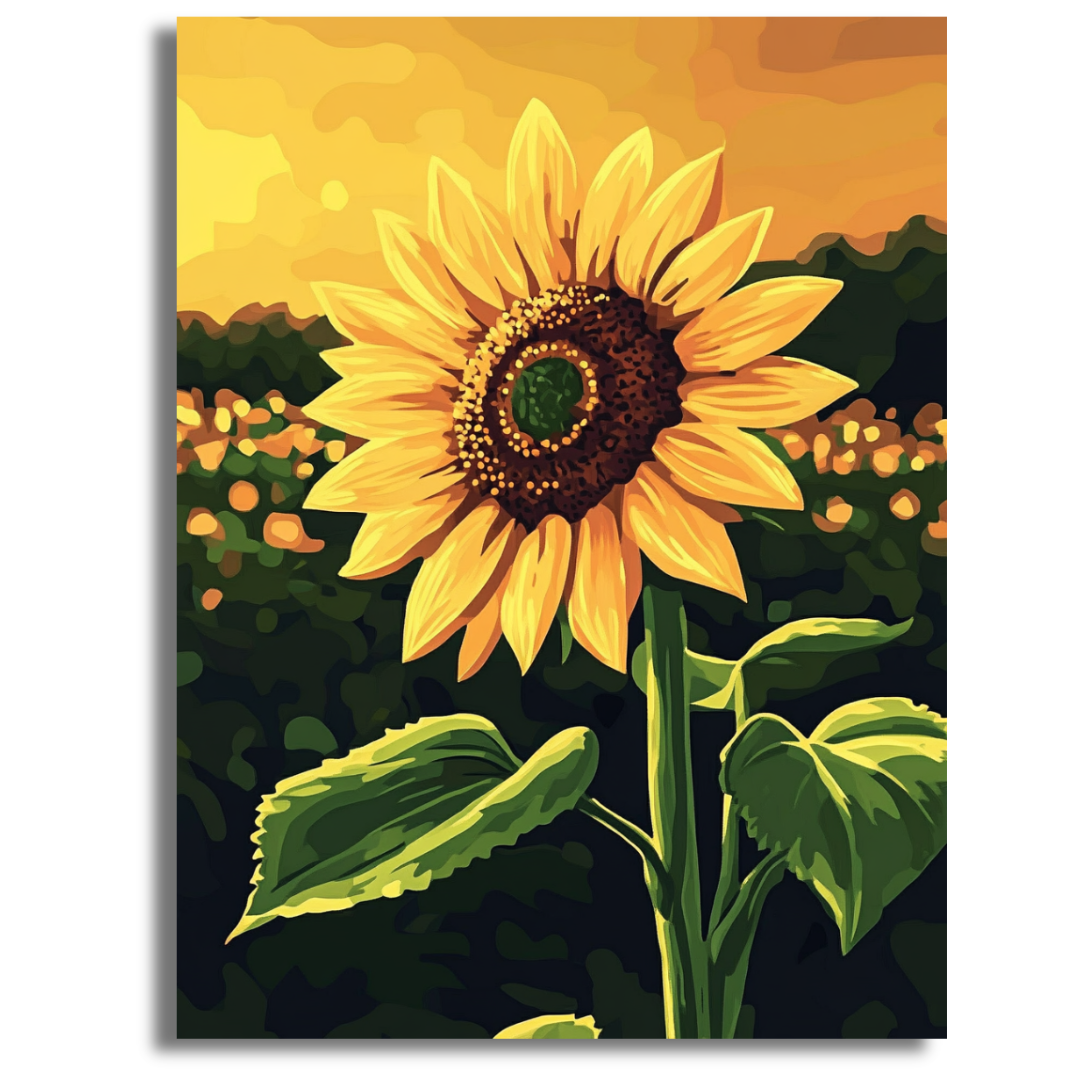Field of Dreams- Paint By Numbers