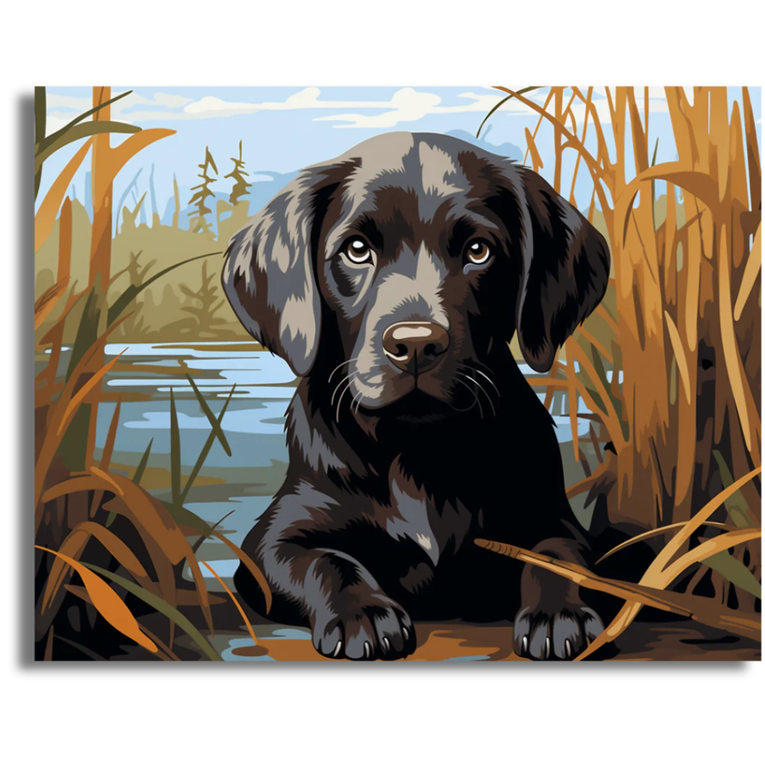 Paws by the Water- Paint By Numbers