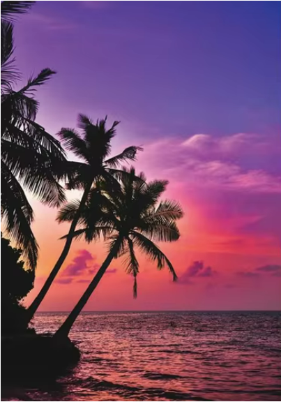 Tropical Sunset - Diamond Painting